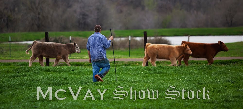 McVay Show Stock