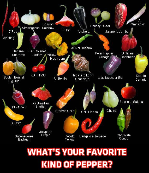 Natural Health & Healing God's Way Hot Pepper Benefits Natural Health & Healing God's Way Hot Pepper Benefits