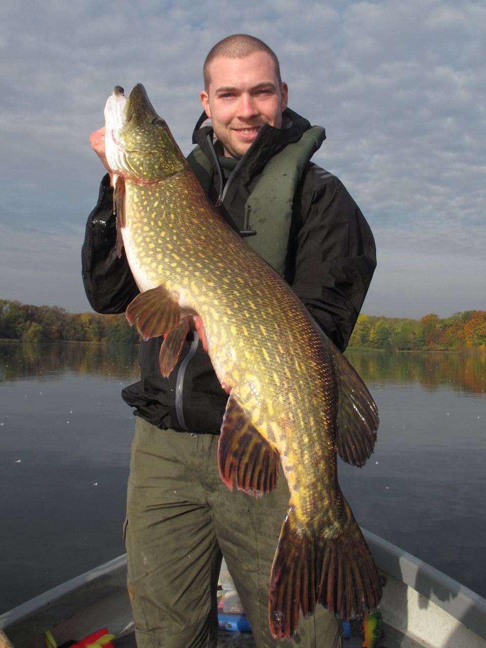 Everything With Teeth: Kort line - stor fisk