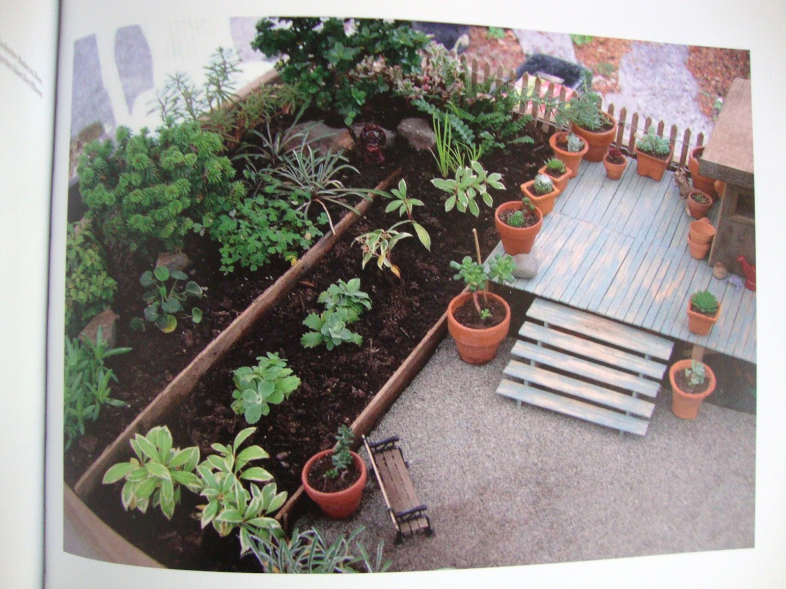 Cooketteria Buchvorstellung Gärtnern im Kleinformat von Janit Calvo