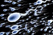 8 Cara Jitu Buat Meningkatan Kesehatan Sperma.