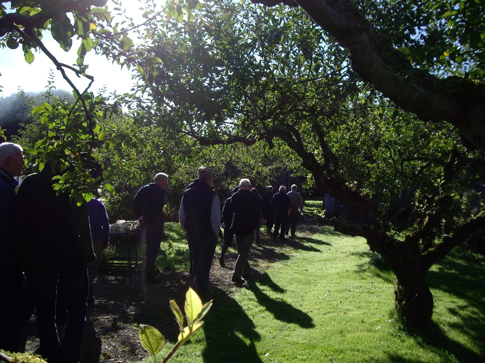 Nidderdale AONB Conservation Volunteers' Blog Orchard Management