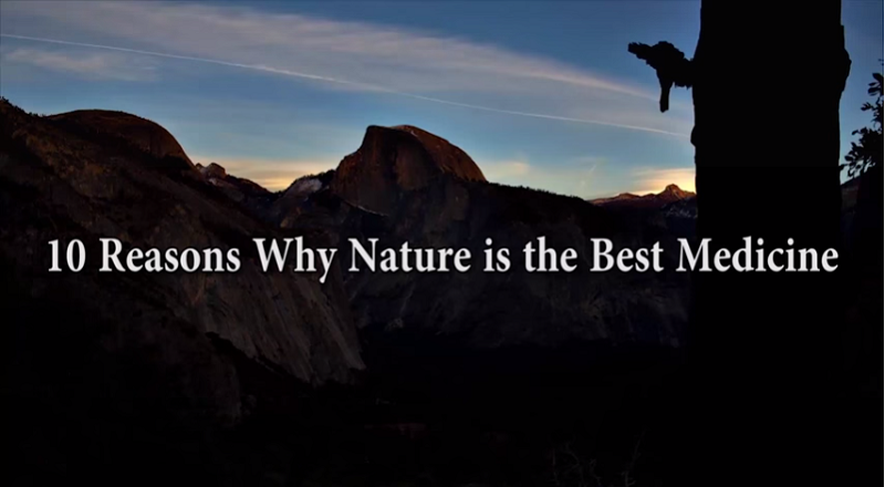 10 Reasons Why Nature is the Best Medicine