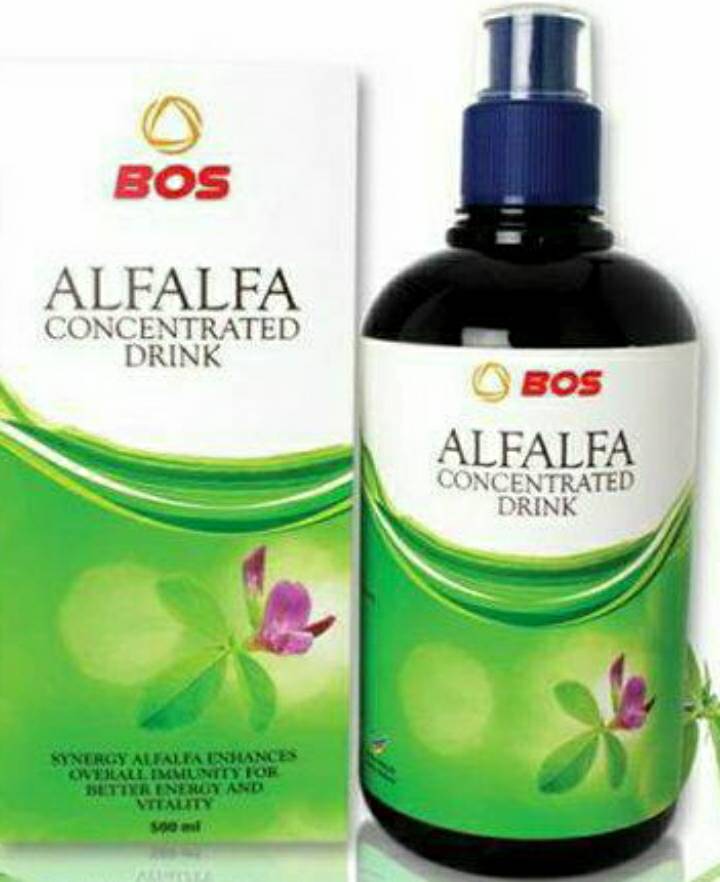 Alfalfa bee Alfalfa dan neuven Alfalfa herbal bee Alfalfa concentrated drink harga