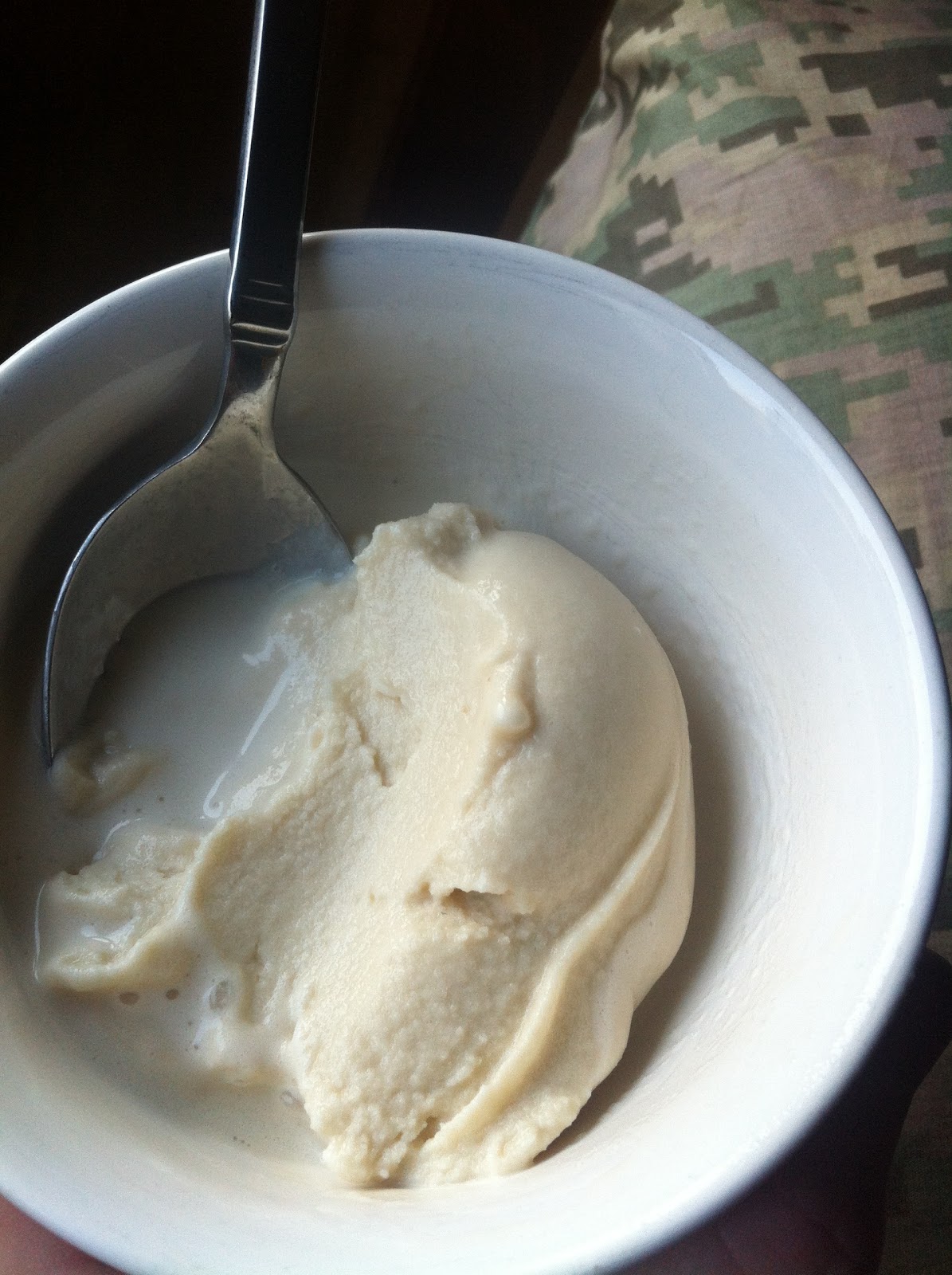 Paleo Custard Ice Cream Base