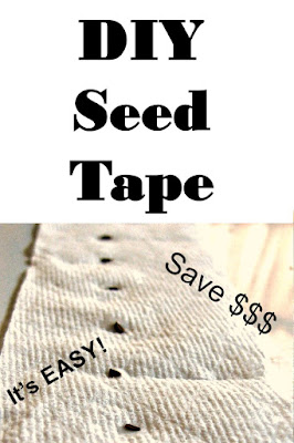 How to Make Your Own Seed Tape and Save