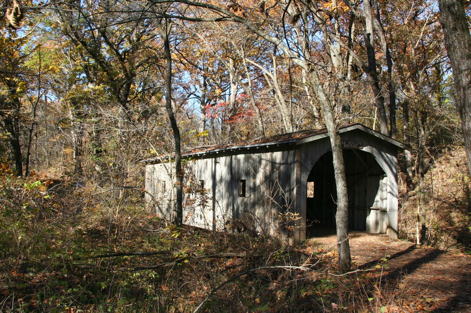 Alice Dreaming Rim Rock Farm Lawrence Kansas