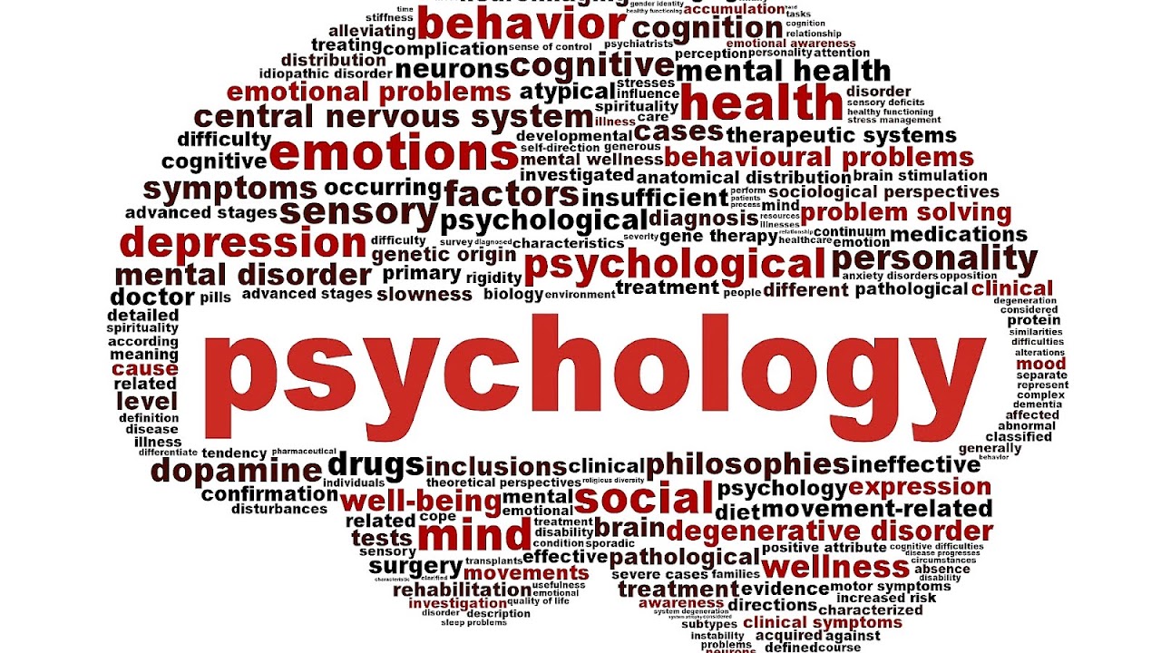 Online Psychology Master Degree Psychology Choices