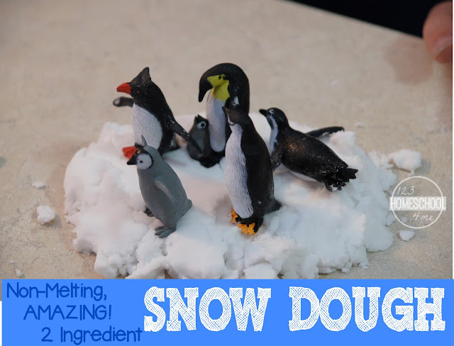 Antarctica Activity with Snow Dough