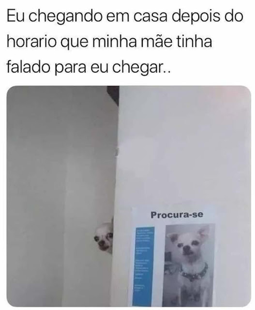 MEMES+ENGRA%25C3%2587ADOS++%252814%2529.