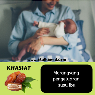 KHASIAT BUAH KURMA