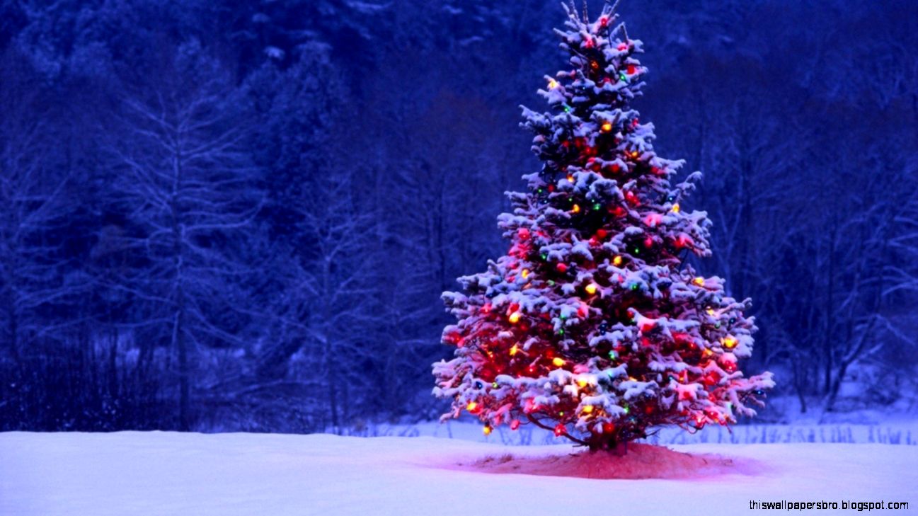 Mac Christmas Wallpapers Mac Christmas Photos | This Wallpapers