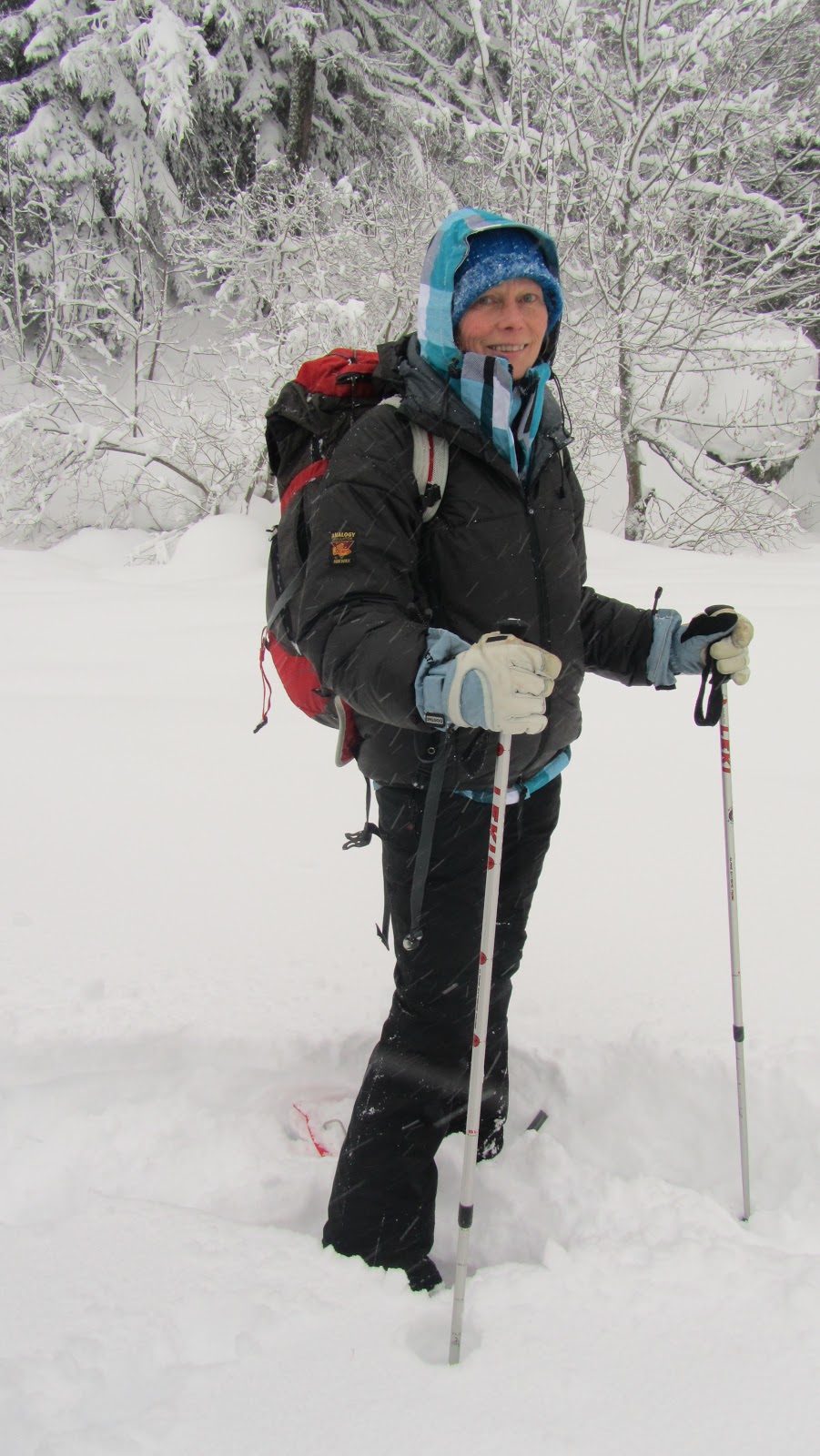 Snow Shoeing Europe How to a Snowshoe Guide