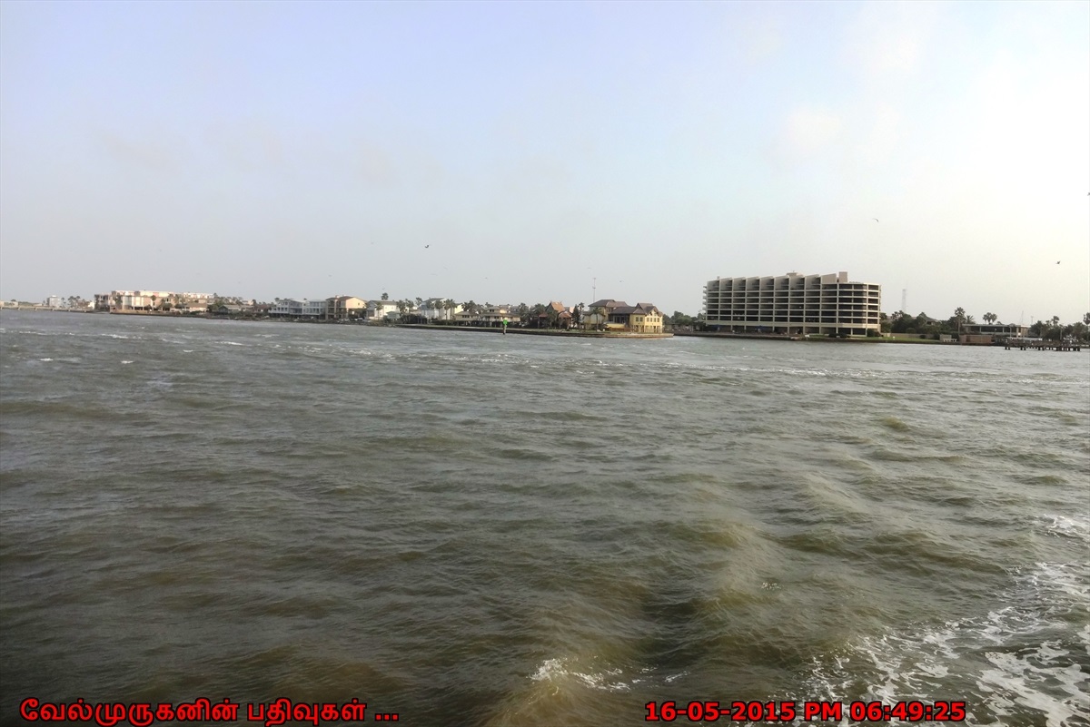 Dolphin Watch in Port Aransas - Exploring My Life