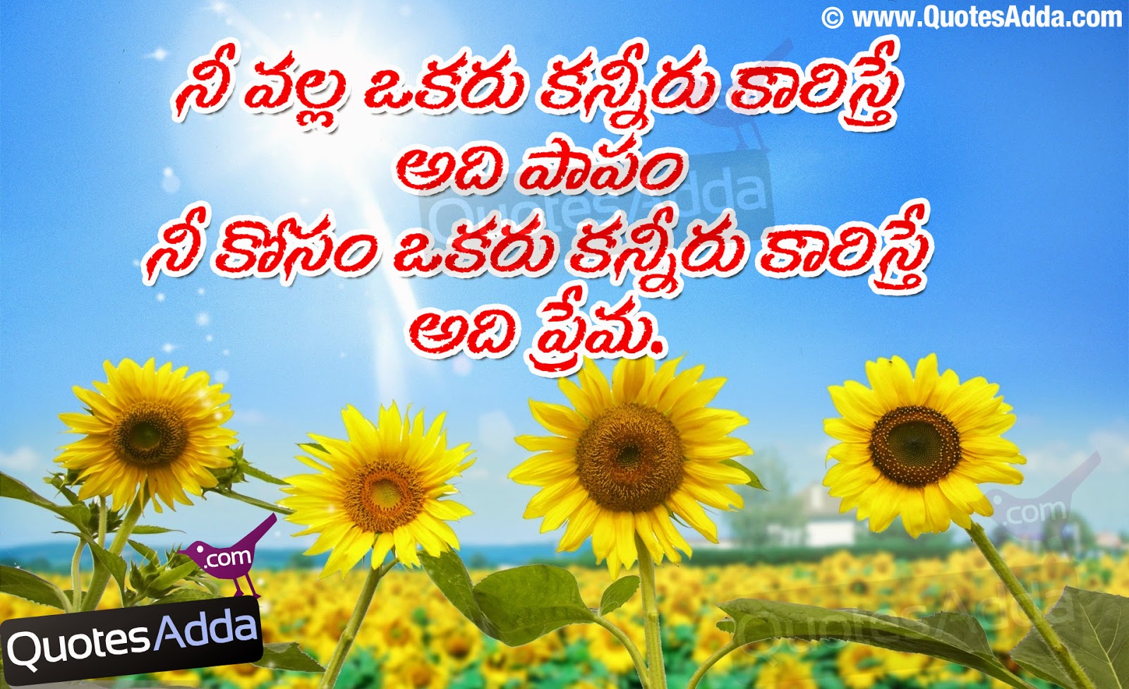Telugu Life Love Sad Meaning quotations JUL04 QuotesAdda