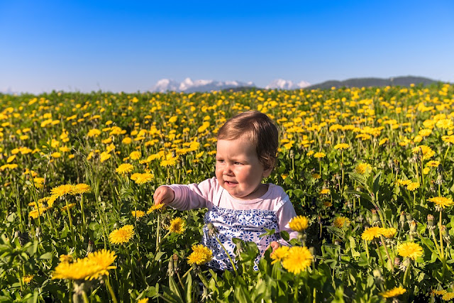 Image: Baby in the Flowers, by Dusan Tesanovic on Pixabay