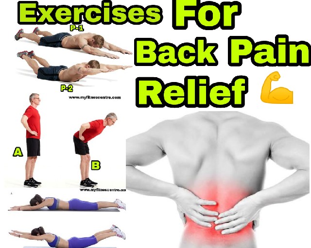 No Equipment Back Exercises MY FITNES CENTRE