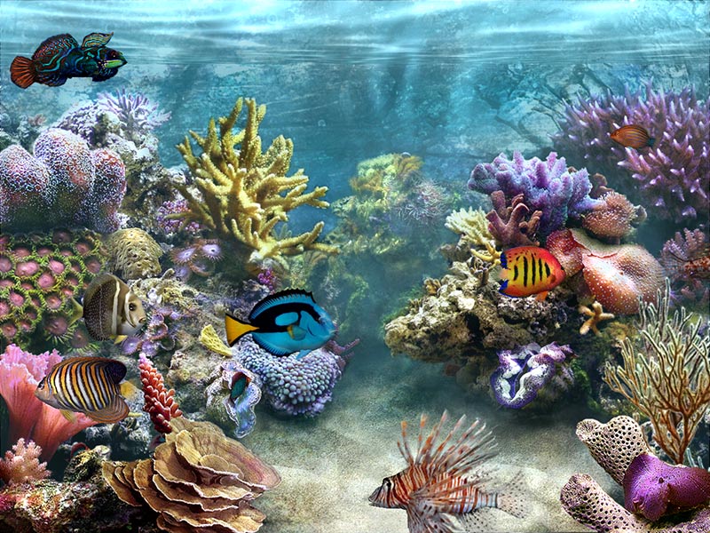 Perleputz: Aquarium Screensaver