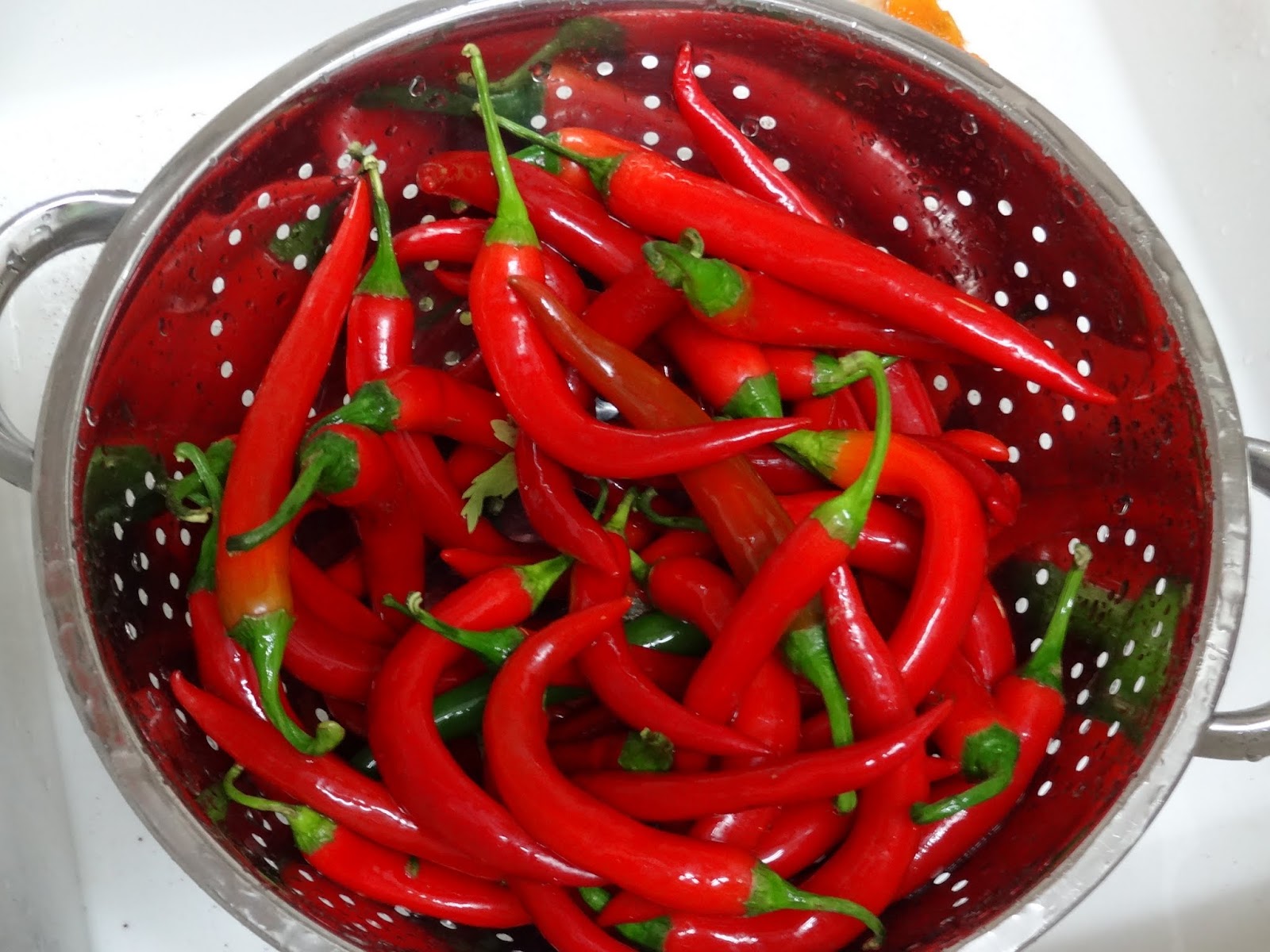 Cooking Outside the Box Raw Fermented Sriracha Thai Chili Sauce