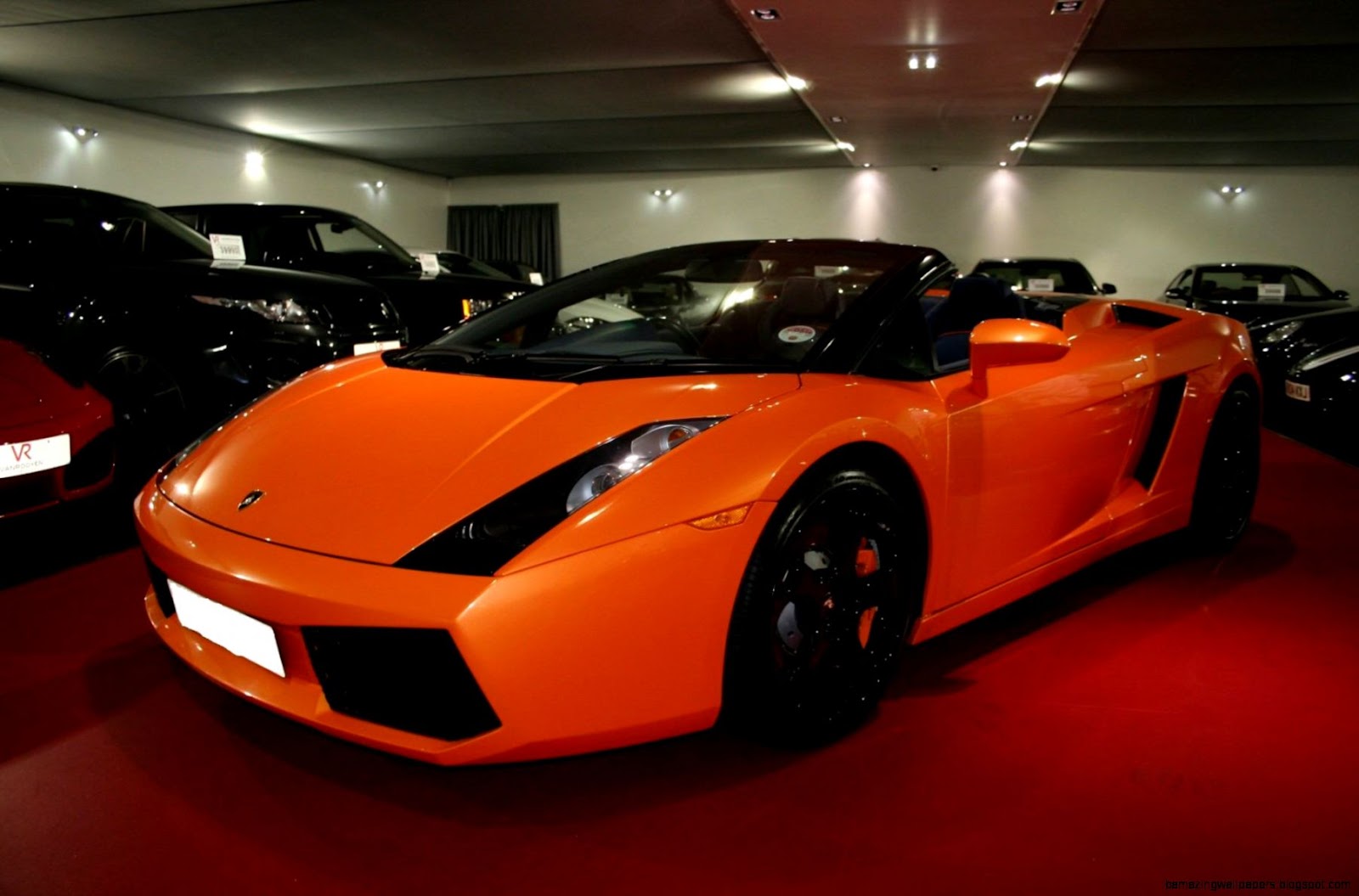Hollywood Exotic Car Rental