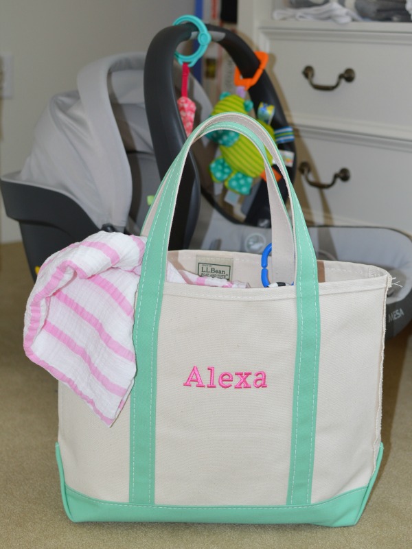 A Family Outing with L.L. Bean (Diaper Tote Insert Review) —New