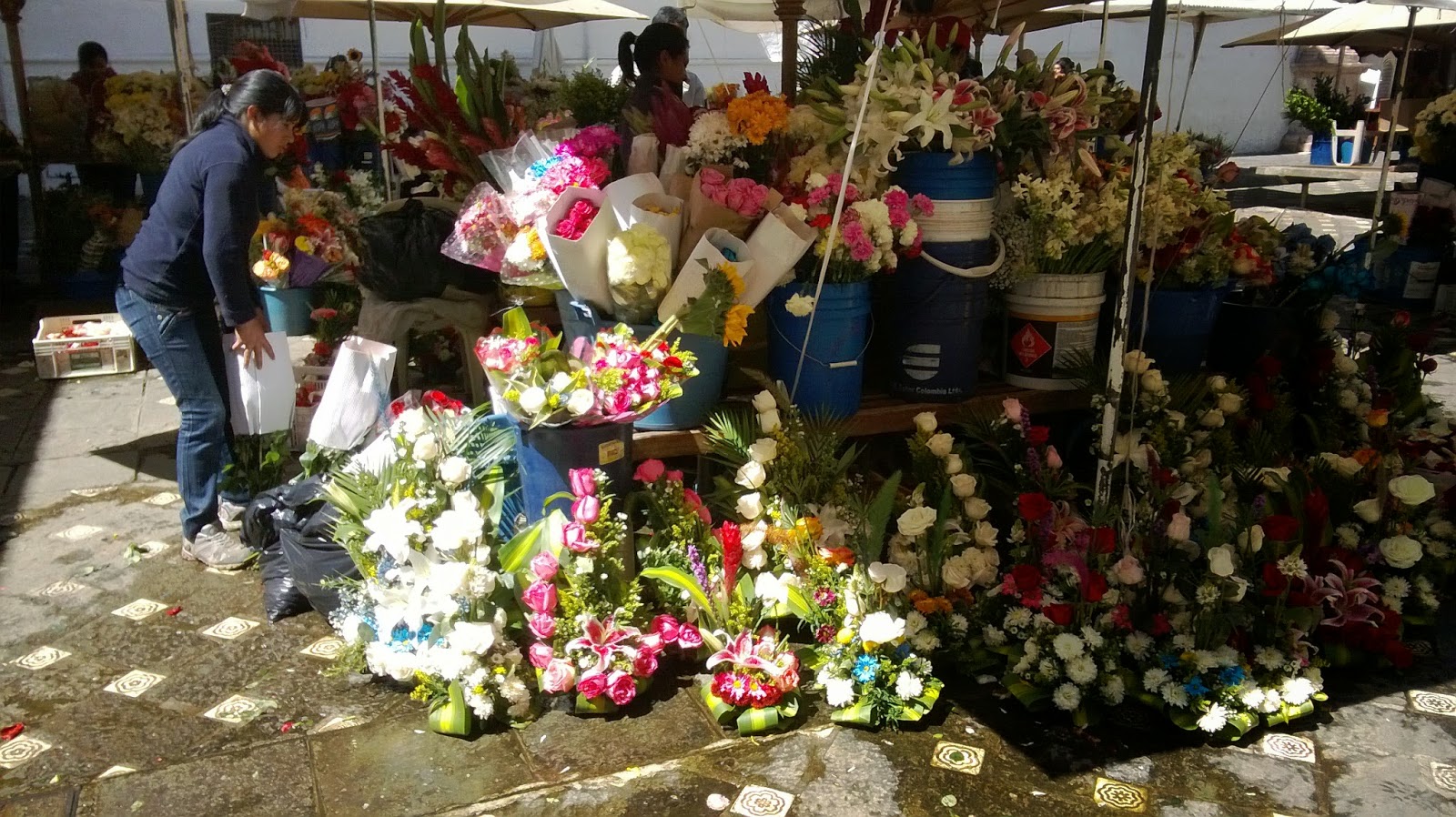 Expats in Ecuador Why is Cuenca a major destination for expats in Ecuador?