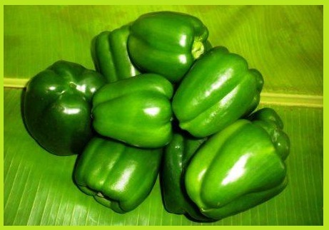 शिमला मिर्च को स्टोर(प्रिज़र्व) करना - Preserved Capsicum at Home