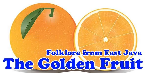 The Golden Orange Fruit