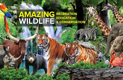 Zoo Melaka & Safari Malam 2019!