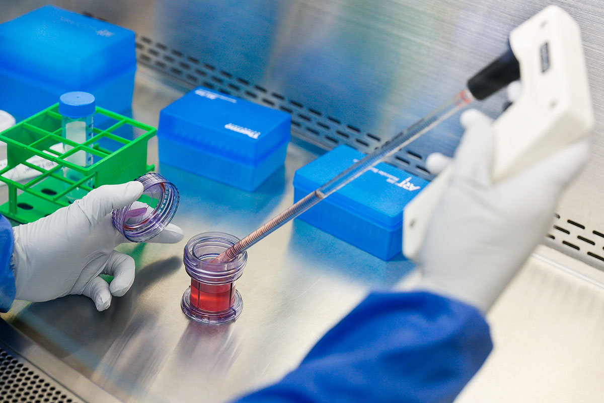 промышленность стволовые клетки. клеточная терапия стволовыми клетками. терапия маркет. экспериментальное лечение. тест стволовые клетки.