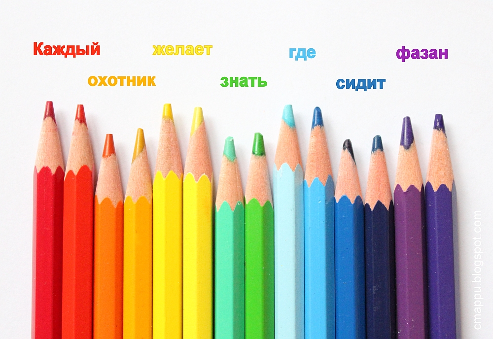 Коробка с карандашами картинка для детей