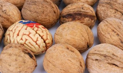 10 Makanan Super Pendukung Kesehatan Otak
