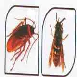 Pest Control Services Cochin