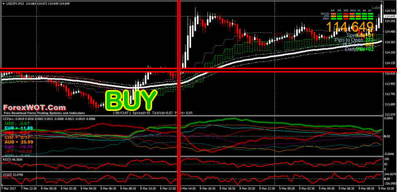 Anil mangal 6 weeks forex course