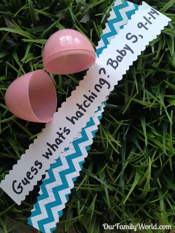 Egg-hatching-pregnancy-announcement