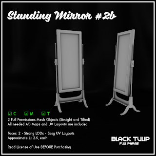 [Black Tulip] Mesh - Standing Mirror #2b
