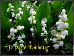 Telecharger Image Muguet Gratuit De 300 Belles Photos Et Images De Muguet Pixabay Telecharger Image Muguet Gratuit De 300 Belles Photos Et Images De Muguet Pixabay