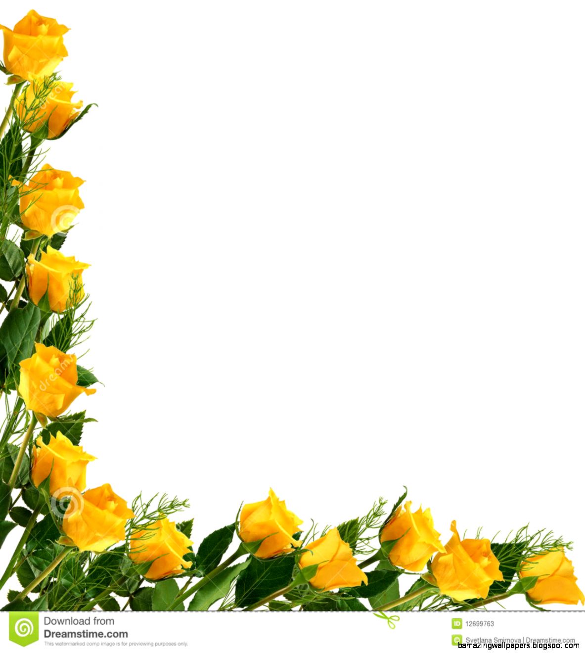 Yellow Rose Stock Illustrations Vectors  Clipart – 8193 Stock