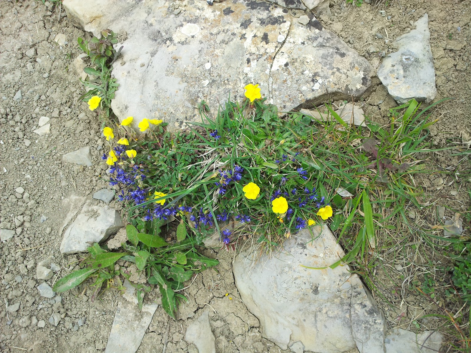 Around the Edge of Wales Around the Edge of Wales (10)...Llantwit