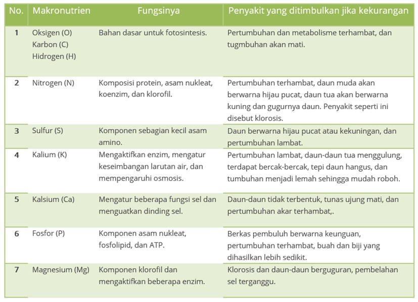 MAKALAH BOTANI FARMASI Air, Tanah &amp; Nutrisi Buku Merah