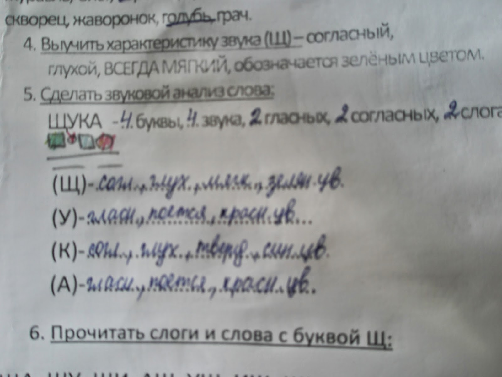 Звуко-буквенный разбор слова щуку. Все согласные звуки твердые слова. В слове щука все согласные твердые. В слове щука все согласные твердые. В слове щука все согласные твердые.