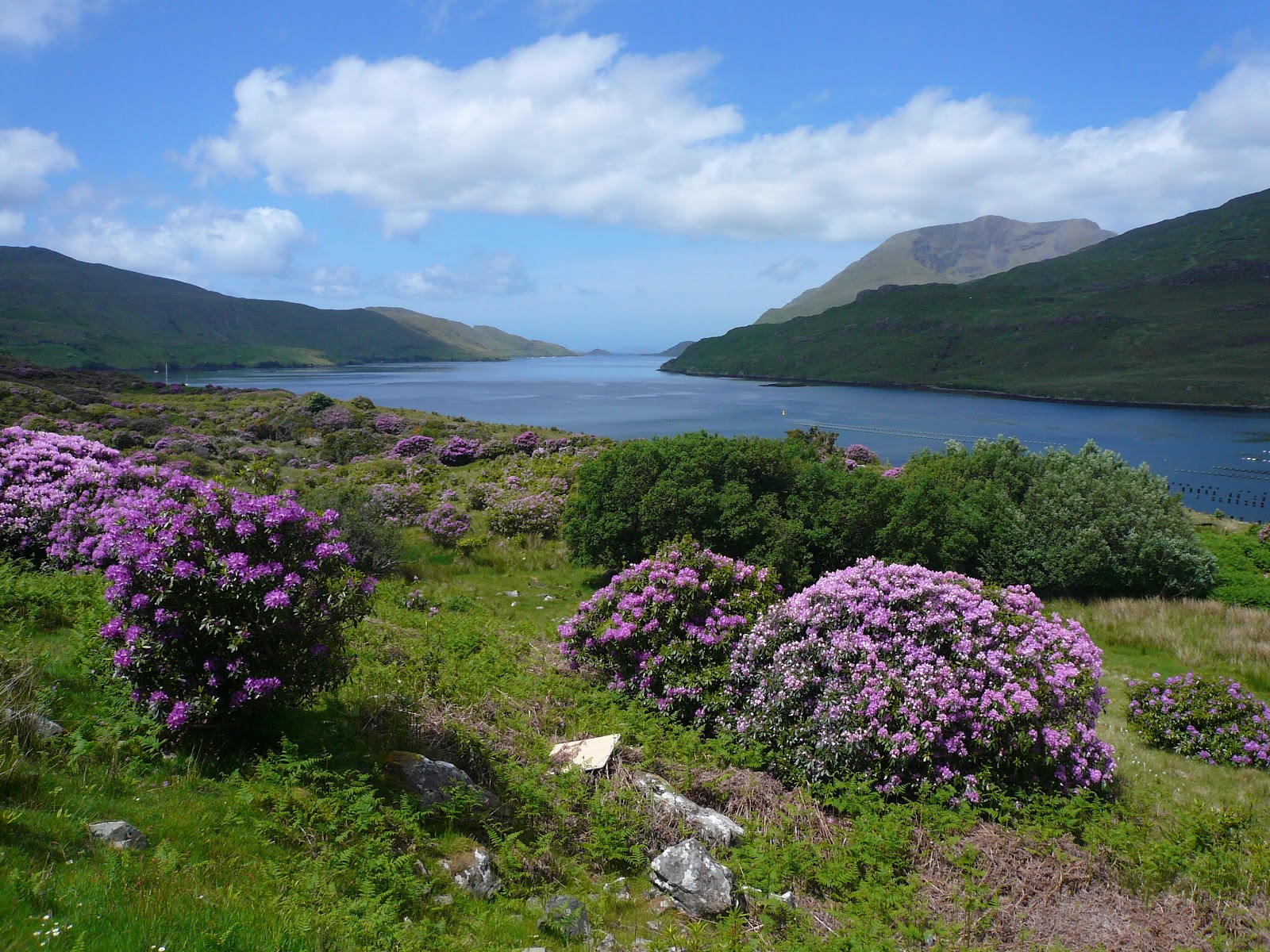 Economical Explorer: Connemara - The Real Emerald of Ireland?