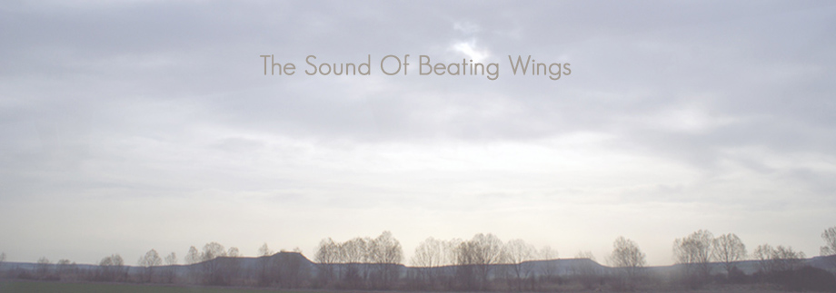 The sound of beating wings