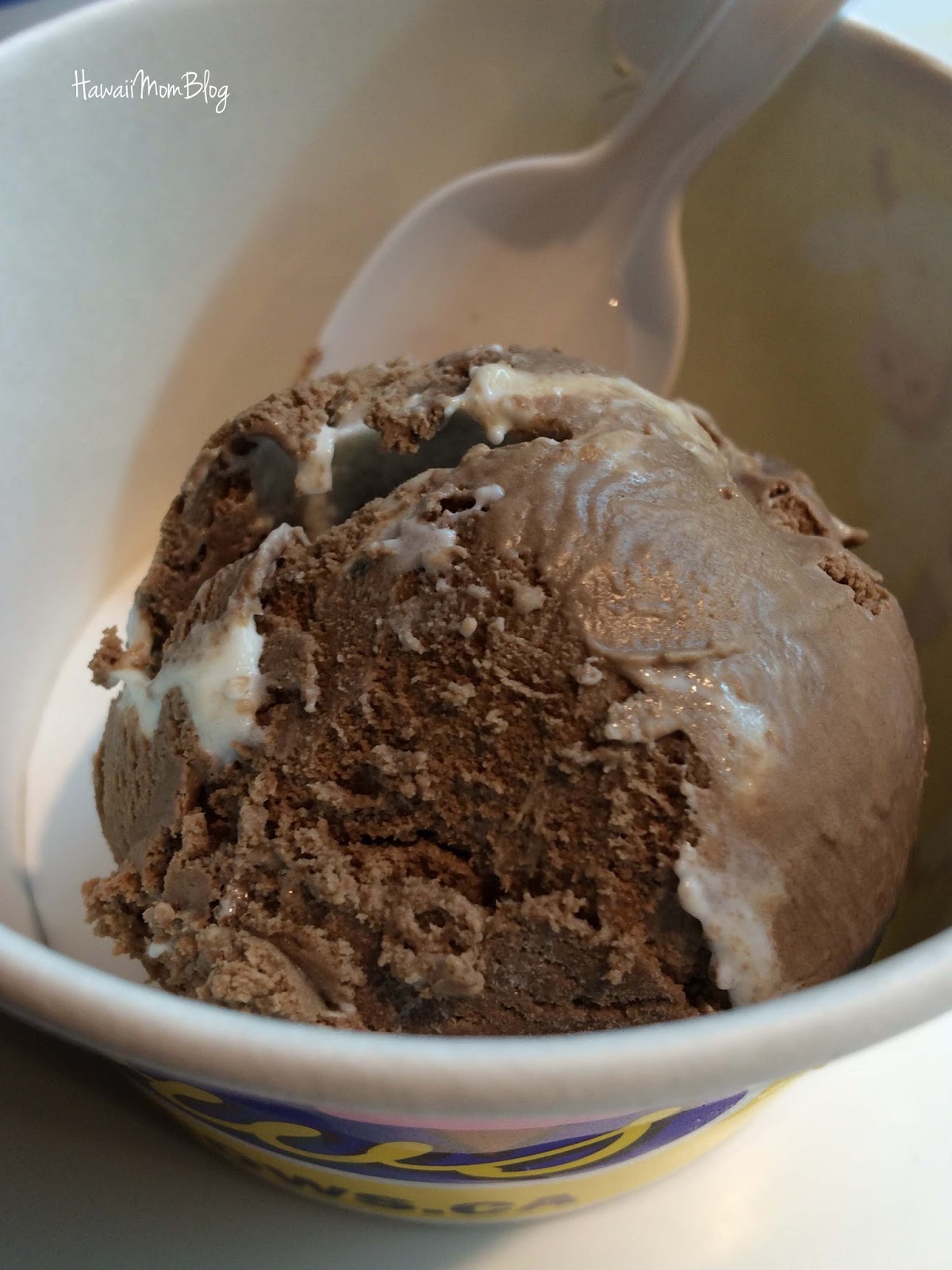 Hawaii Mom Blog Visit Whistler Cow's