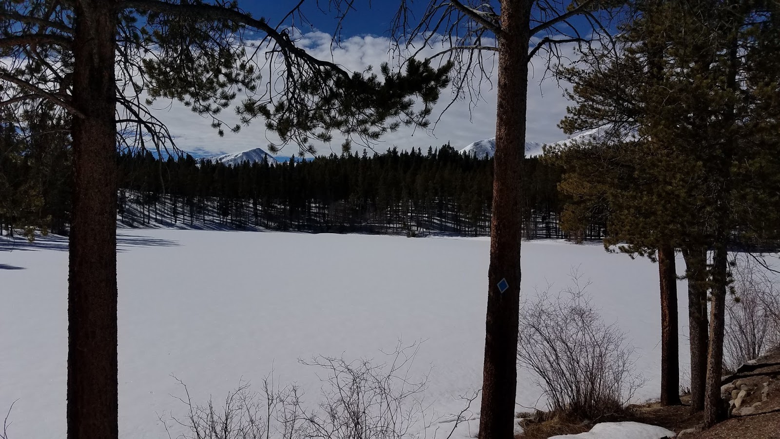 Wilderness Wanderings Kearney Park Loop Snowshoeing at Leadville Fish