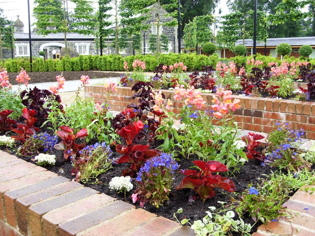 Kelli's Northern Ireland Garden Community Gardening Update