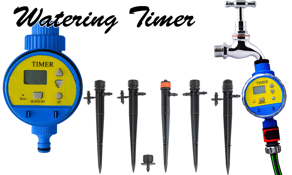 Bamboo Creations Victoria Watering bamboo tips for Hotter days