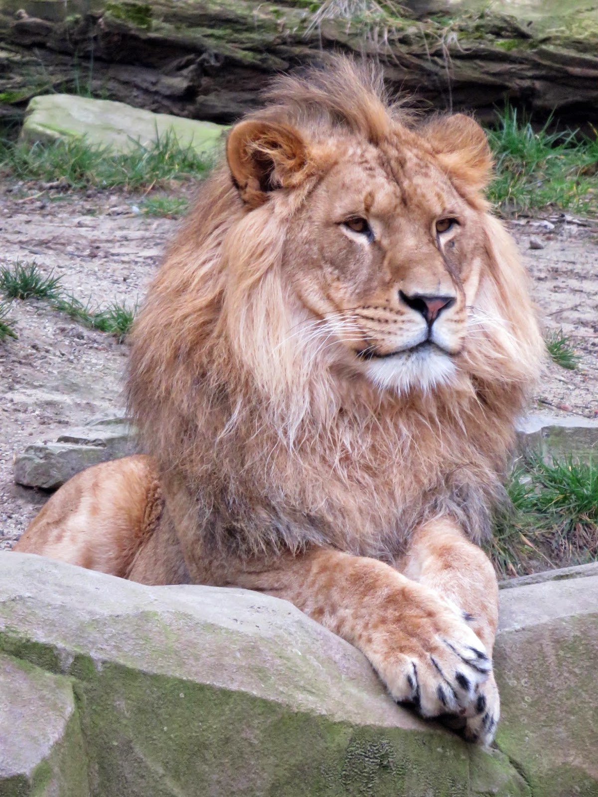 Geographically Yours Antwerp, Belgium