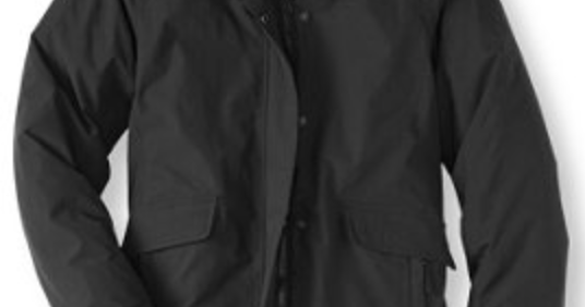 ll bean acadia down coat