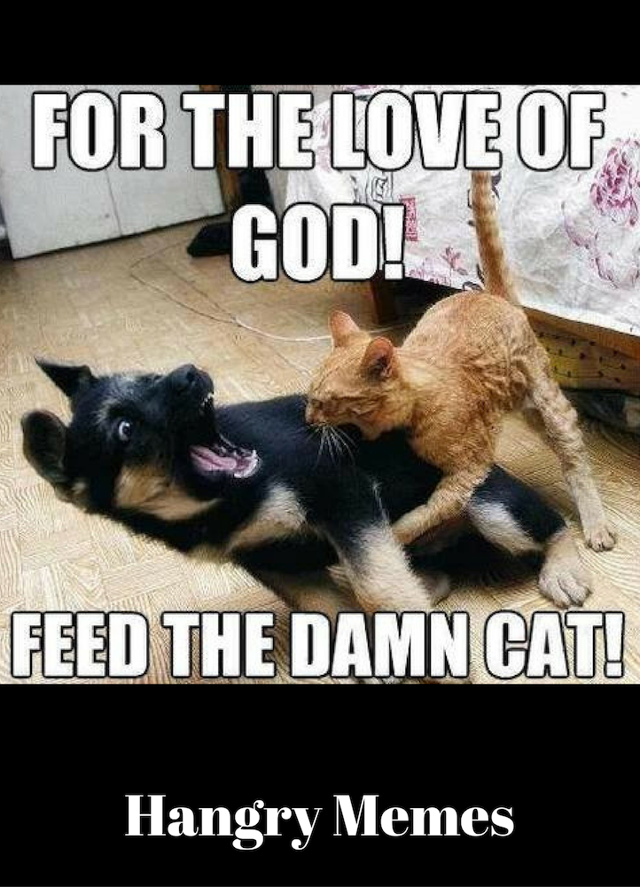 How to save your pictures on facebook